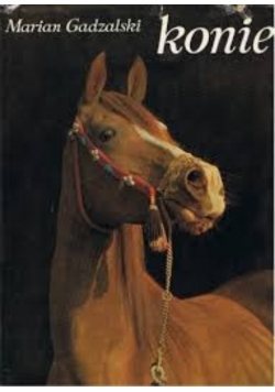 Konie