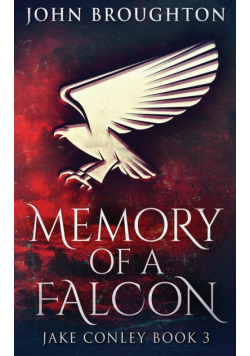 Memory Of A Falcon