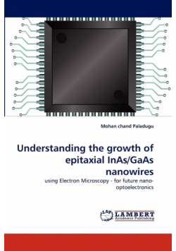 Understanding the Growth of Epitaxial Inas/GAAS Nanowires