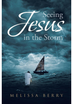 Seeing Jesus in the Storm