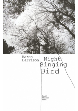 Night-Singing Bird