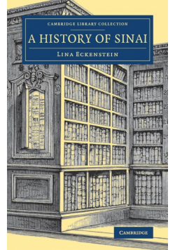 A History of Sinai