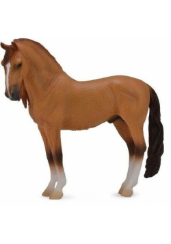 Koń Campolina Stallion Red Dun