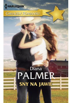 Sny na jawie