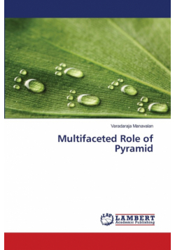 Multifaceted Role of Pyramid
