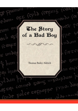 The Story of a Bad Boy