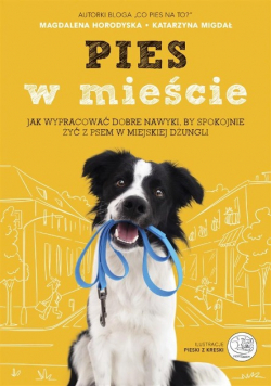 Pies w mieście Jak wypracować dobre nawyki