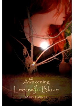 The Awakening of Leeowyn Blake