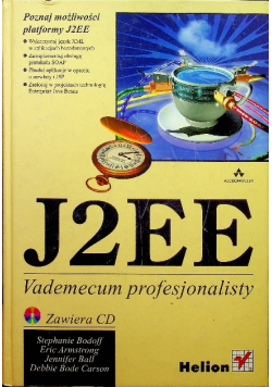 J2EE Vademecum profesjonalisty