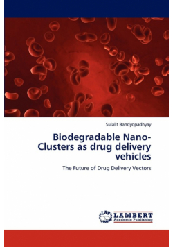 Biodegradable Nano-Clusters as drug delivery vehicles