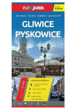 Plan Miasta EuroPilot. Gliwice Pyskowice plastik