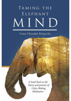 Taming the Elephant Mind