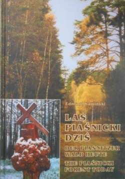 Las Piaśnicki dziś