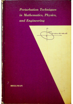 Perturbation techniques in mathematics