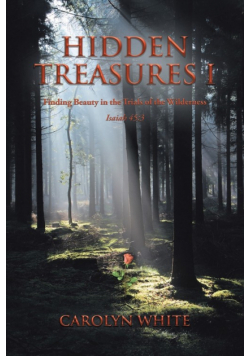 Hidden Treasures I