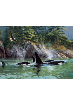 Puzzle 1000 Orki