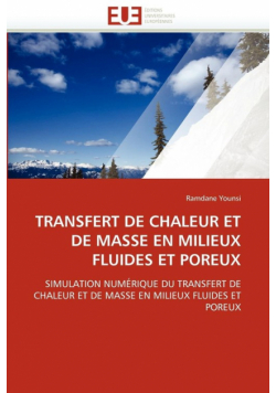 Transfert de chaleur et de masse en milieux fluides et poreux