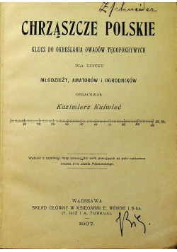 Chrząszcze Polskie 1907 r.