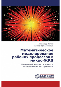 Matematicheskoe Modelirovanie Rabochikh Protsessov V Mikro-Zhrd