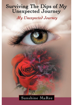 Surviving the Dips of My Unexpected Journey