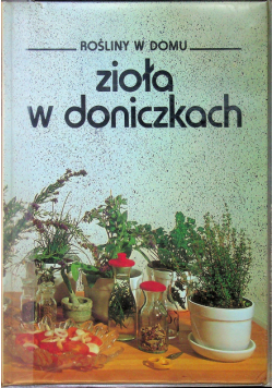 Zioła w doniczkach