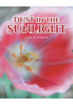 Dust in the Sunlight