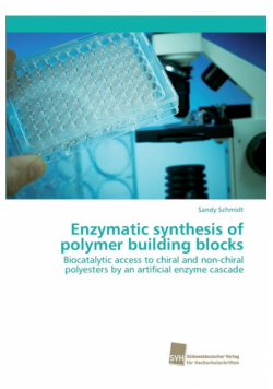 Enzymatic synthesis of polymer building blocks