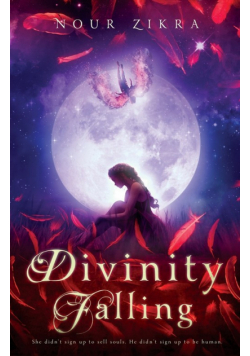 Divinity Falling