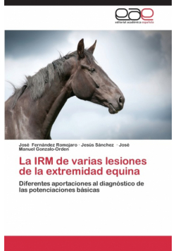 La Irm de Varias Lesiones de La Extremidad Equina