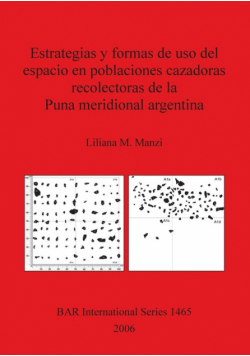 Estrategias y formas de uso del espacio en poblaciones cazadoras recolectoras de la Puna meridional argentina