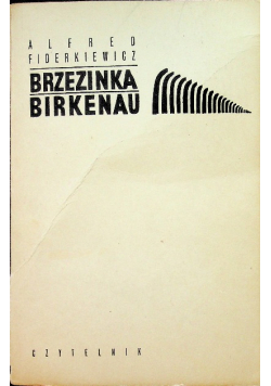 Brzezinka birkenau