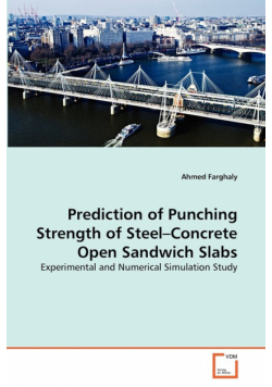 Prediction of Punching Strength of Steel-Concrete Open Sandwich Slabs