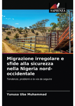 Migrazione irregolare e sfide alla sicurezza nella Nigeria nord-occidentale