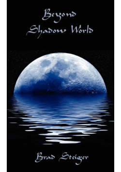 Beyond Shadow World