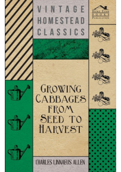 Growing Cabbages from Seed to Harvest