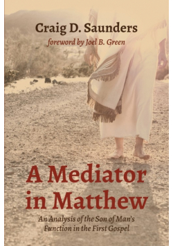 A Mediator in Matthew