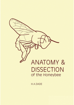 Anatomy and Dissection of the Honeybee