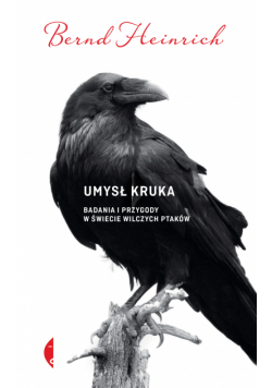 Umysł kruka. Badania i przygody w świecie wilczych ptaków