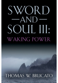 Sword And Soul Iii