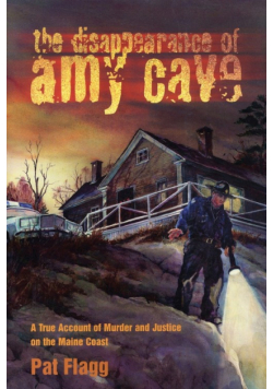 The Disappearance of Amy Cave