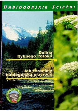 Babiogórskie ścieżki doliną rybnego potoku