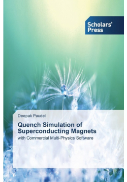 Quench Simulation of Superconducting Magnets