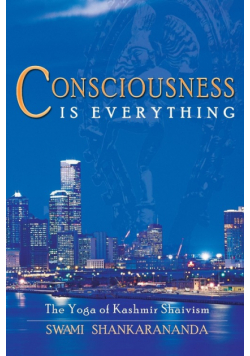 Consciousness Is Everything