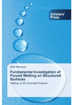 Fundamental Investigation of Forced Wetting on Structured Surfaces