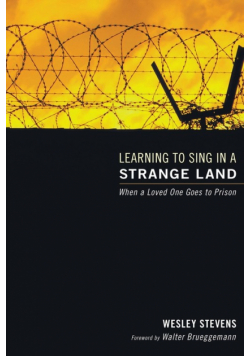 Learning to Sing in a Strange Land