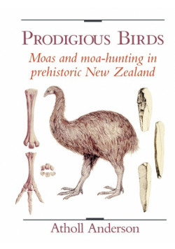 Prodigious Birds