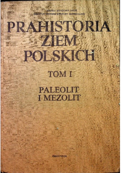 Prahistoria ziem Polskich Tom I