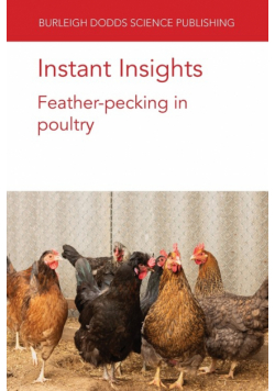 Instant Insights