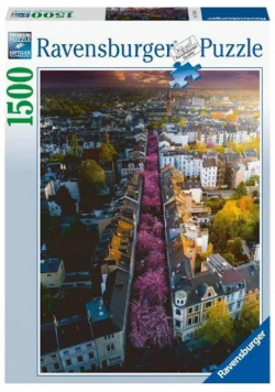 Puzzle 1500 Bonn. Niemcy