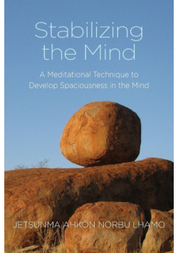 Stabilizing the Mind